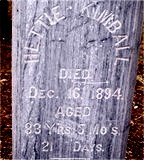 CHATFIELD Hettie Esther 1811-1894 grave.jpg